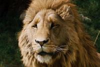 Aslan