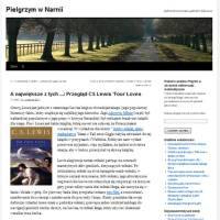 Polish Translation of a Pilgrim in Narnia Blog