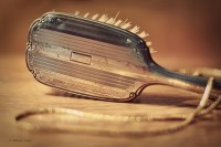 the gift of the magi