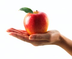 apple-hand