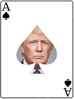 blog_trump_card