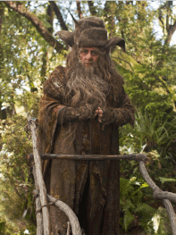 radagast-the-brown